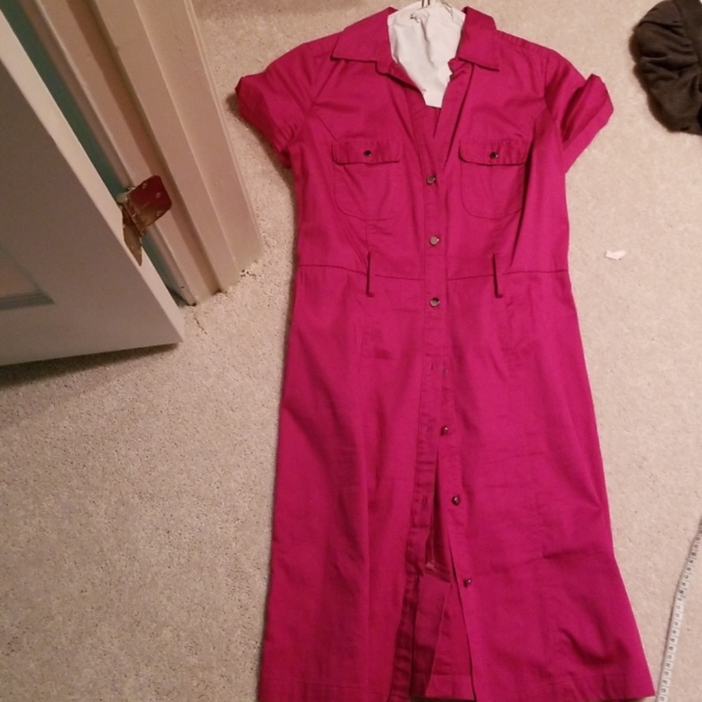 Worn once Raspberry Button Down Dress